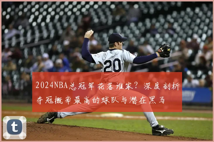 2024NBA总冠军花落谁家？深度剖析夺冠概率最高的球队与潜在黑马